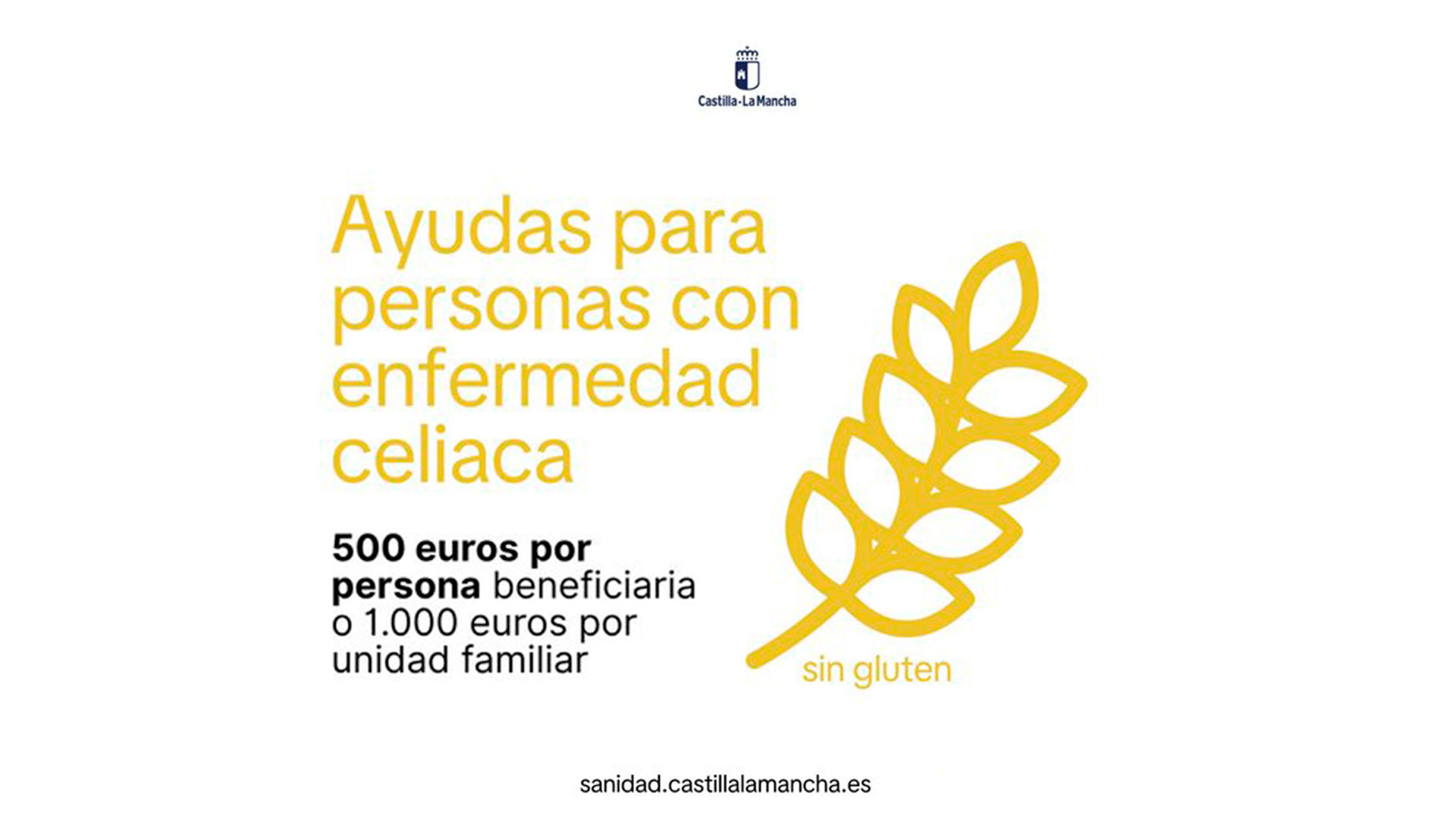 imagen de la noticia imagen de la noticia