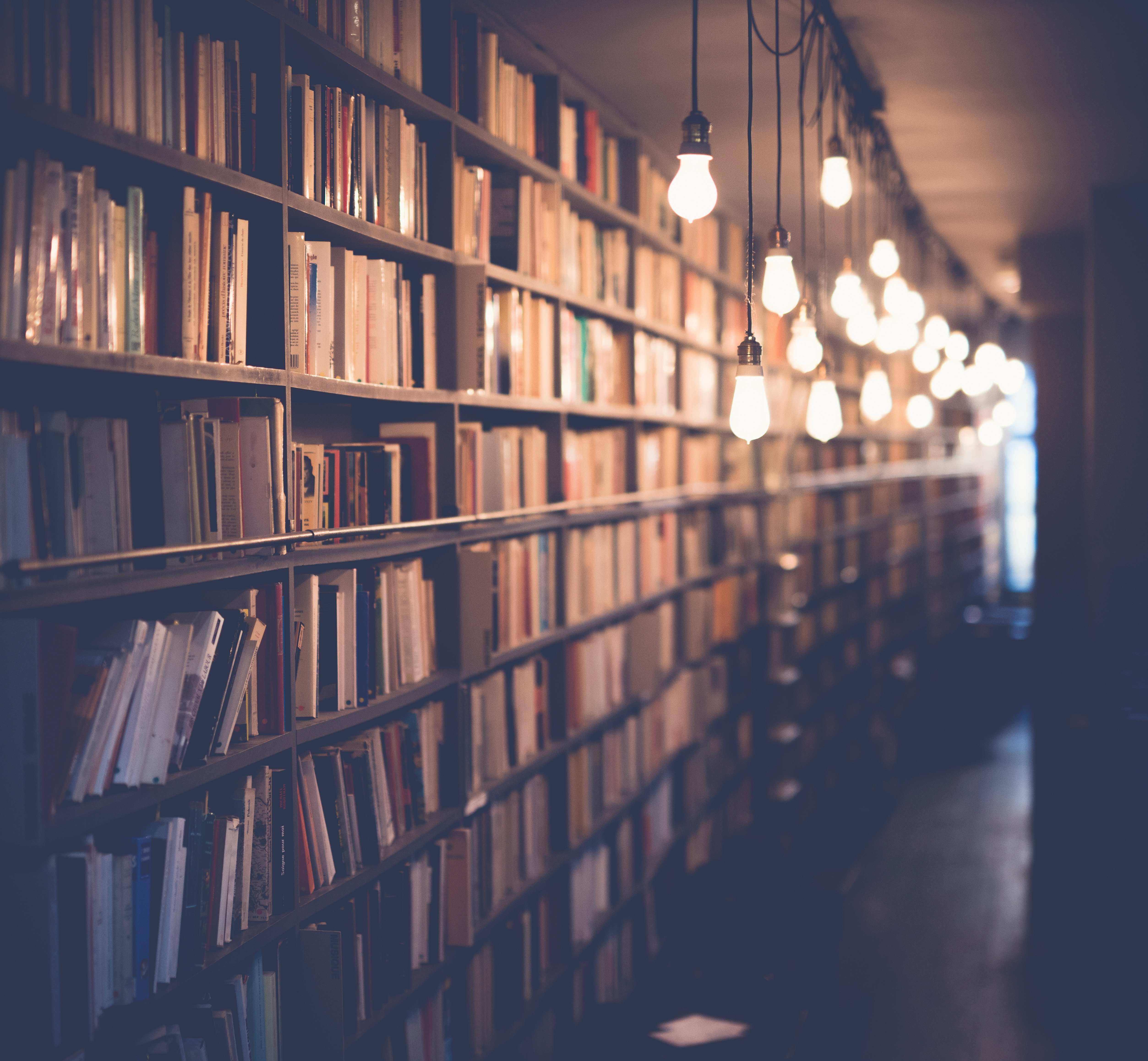 Las bibliotecas de Castilla-La Mancha organizan más de 20 actividades culturales por el Día de las Bibliotecas