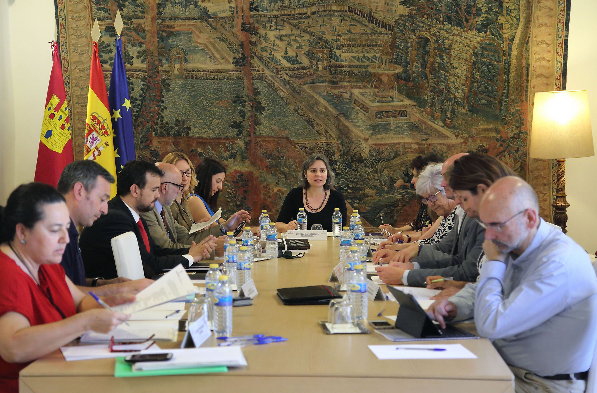 La directora del Instituto de la Mujer de Castilla-La Mancha, Araceli Martínez, ha presidido la reunión del Consejo de Dirección del Instituto de la Mujer 