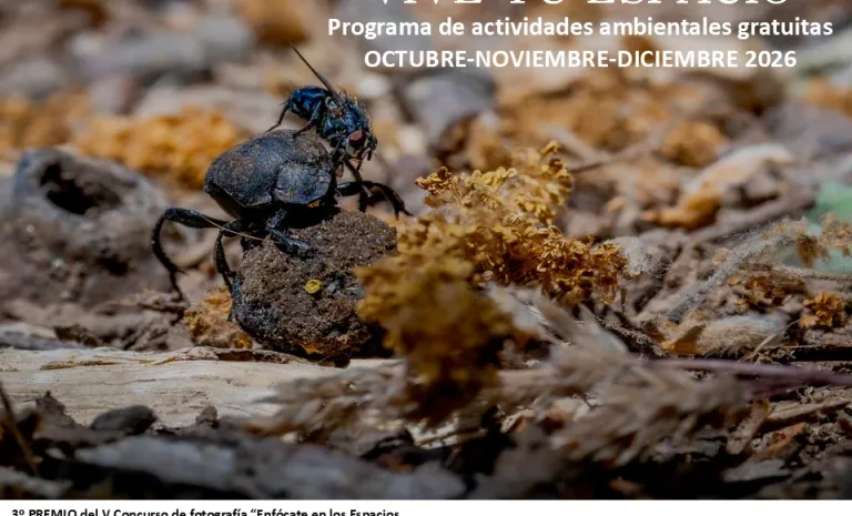 Con la llegada del otoño, las primeras lluvias y el descenso de las temperaturas, la Consejería de Desarrollo Sostenible pone en marcha una nueva programación de actividades destinadas a acercar a la ciudadanía al rico patrimonio natural de Castilla-La Mancha a través de los programas ‘Vive Tu Espacio’, ‘Explora Tu Espacio’ y ‘Del Centro al Sendero’, una completa oferta gratuita para disfrutar, conocer y conservar los espacios naturales protegidos de la región.