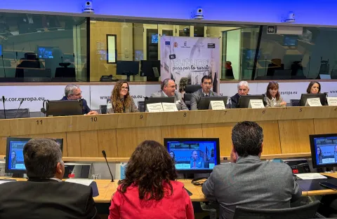 El consejero de Agricultura, Ganadería y Desarrollo Rural, Julián Martínez Lizán, en la clausura de la Jornada Europea con Grupos de Desarrollo Rural en el Comité de las Regiones