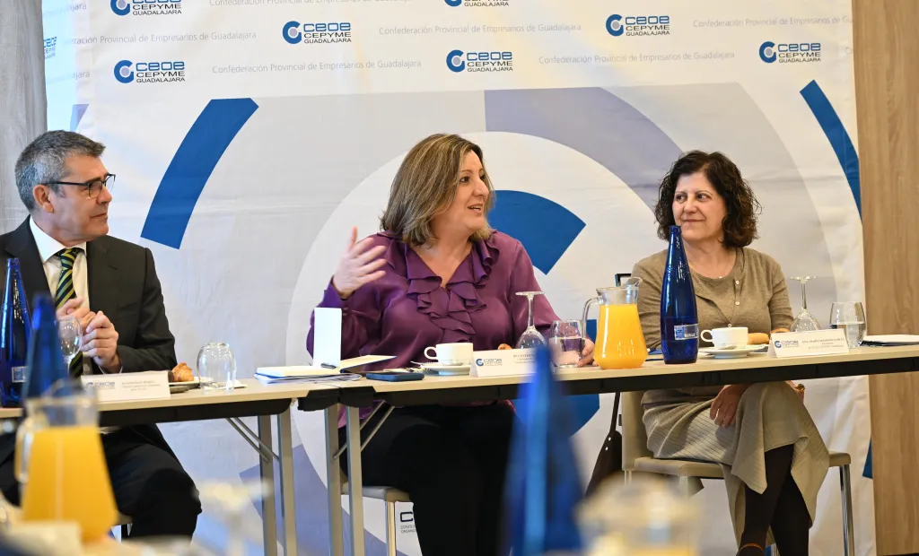 La nueva Ley de Inversiones Empresariales Estratégicas iniciará mañana su recorrido de exposición pública en el Portal de Participación del Gobierno de Castilla-La Mancha hasta el próximo 21 de abril, en la recta final de la tramitación administrativa de la ley. Así lo ha señalado la consejera de Economía, Empresas y Empleo, Patricia Franco.