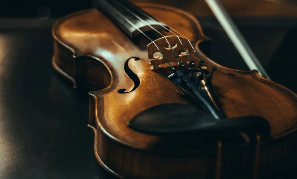 Violín