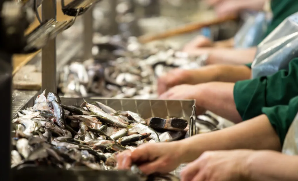 El Gobierno regional apoya con un millón de euros a las empresas de transformación y comercialización de productos de pesca y acuicultura