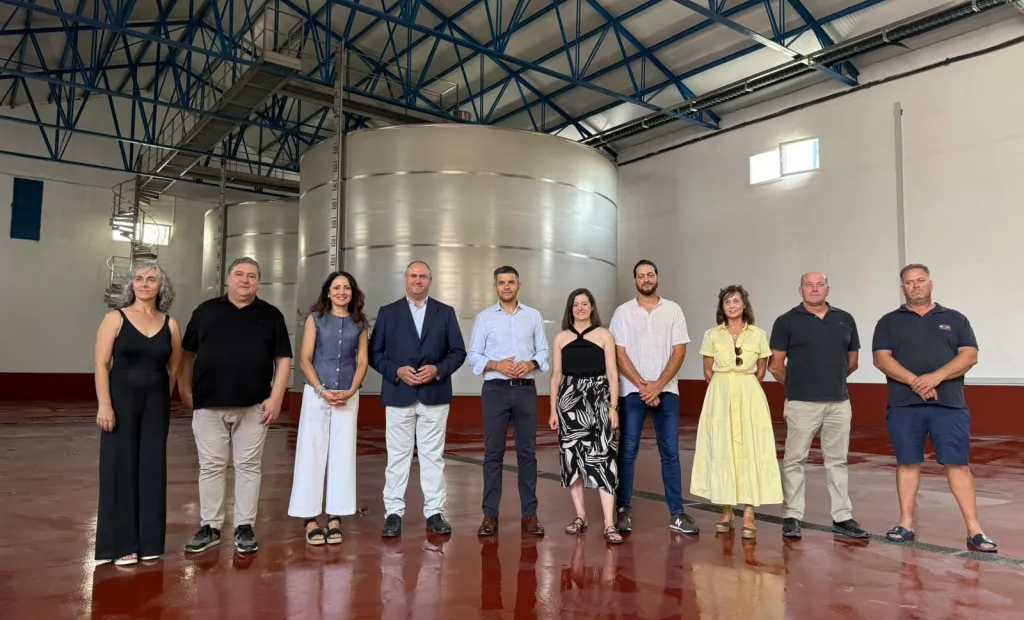 El Gobierno regional aprueba 49 proyectos VINATÏ que recibirán 12,8 millones de euros para inversiones de modernización y mejora