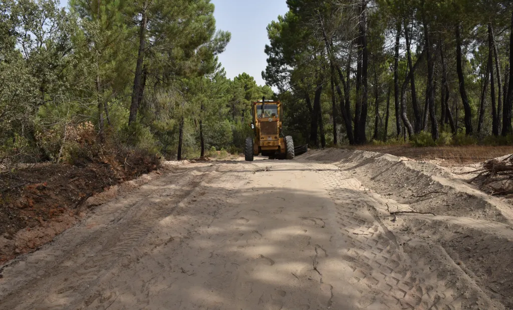 El delegado provincial de Agricultura, Ganadería y Desarrollo Rural, Rodrigo Fernández Alcalde,  ha animado a los ayuntamientos de la provincia de Cuenca a presentar sus solicitudes a la convocatoria de ayudas para la mejora y acondicionamiento de caminos rurales, publicada en el Diario Oficial de Castilla-La Mancha esta semana.