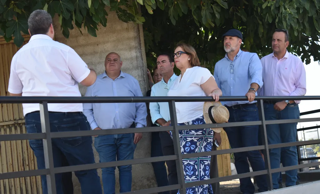 El Gobierno regional ha destinado en los últimos años más de 807.000 euros a la conservación, difusión e investigación de la villa romana de El Saucedo