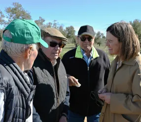 La consejera Portavoz del Gobierno regional, Esther Padilla, asiste al 25º Concurso de Poda de Olivos de Los Yébenes, en el Paraje de los Parrales, de Marjaliza, en el olivar de José María Romo