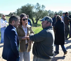 La consejera Portavoz del Gobierno regional, Esther Padilla, asiste al 25º Concurso de Poda de Olivos de Los Yébenes, en el Paraje de los Parrales, de Marjaliza, en el olivar de José María Romo