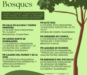El Gobierno regional organiza este fin de semana actividades para conmemorar el Día Internacional de los Bosques en sus siete parques naturales