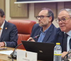 Los datos han sido divulgados hoy en el Congreso de los Diputados durante la presentación del XXVI Dictamen del Observatorio Estatal de la Dependencia