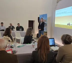 Momento de la reunión del grupo de trabajo