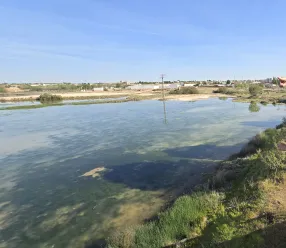 El Gobierno de Castilla-La Mancha aprueba el modelo de gobernanza de la Reserva de la Biosfera de la Mancha Húmeda