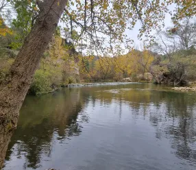 El Gobierno de Castilla-La Mancha convoca el ‘Premio Regional de Medio Ambiente 2026’ que promueve la conservación, protección y difusión de los valores ambientales