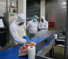 Momento de la visita