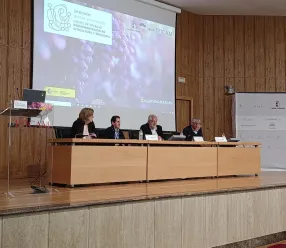 Más de medio centenar de expertos analizan en el IVICAM los avances para adaptar el viñedo al cambio climático y mejorar la calidad del vino