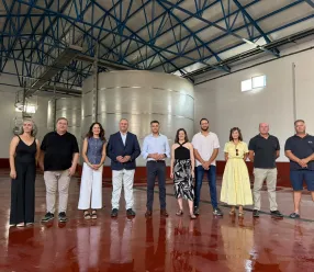 El Gobierno regional aprueba 49 proyectos VINATÏ que recibirán 12,8 millones de euros para inversiones de modernización y mejora