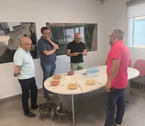 Visita empresa cebollas