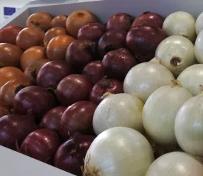Castilla-La Mancha destina 720.000 euros para impulsar canales cortos de comercialización y mercados locales de productos agrícolas