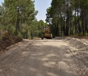 El delegado provincial de Agricultura, Ganadería y Desarrollo Rural, Rodrigo Fernández Alcalde,  ha animado a los ayuntamientos de la provincia de Cuenca a presentar sus solicitudes a la convocatoria de ayudas para la mejora y acondicionamiento de caminos rurales, publicada en el Diario Oficial de Castilla-La Mancha esta semana.