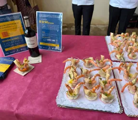 Gastro Experiencia Culinaria Guadalajara