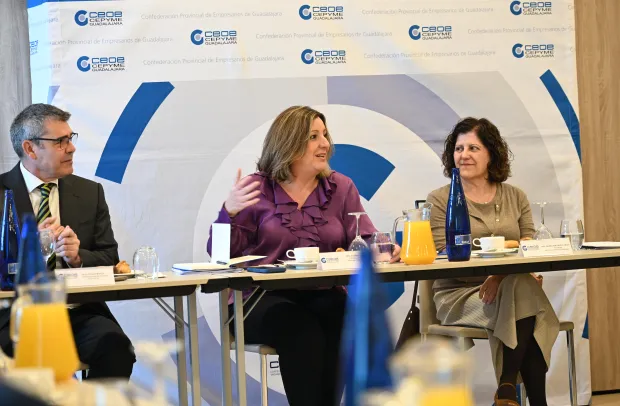 La nueva Ley de Inversiones Empresariales Estratégicas iniciará mañana su recorrido de exposición pública en el Portal de Participación del Gobierno de Castilla-La Mancha hasta el próximo 21 de abril, en la recta final de la tramitación administrativa de la ley. Así lo ha señalado la consejera de Economía, Empresas y Empleo, Patricia Franco.