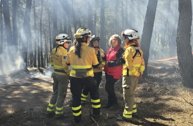 	La consejera de Desarrollo Sostenible, Mercedes Gómez, ha incidido en que la prevención durante todo el año, con el dispositivo INFOCAM operativo los 365 días “es una prioridad absoluta para el Gobierno de García-Page”.