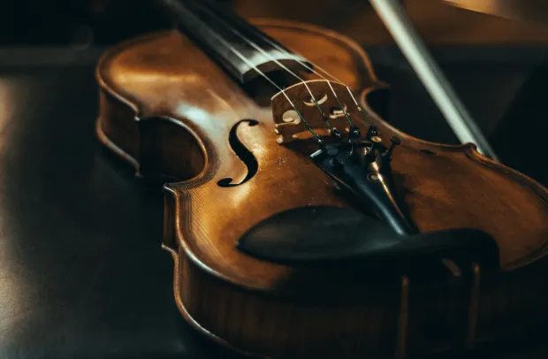 Violín
