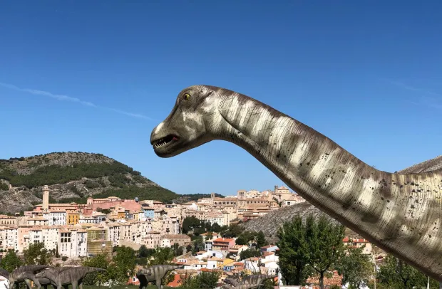 El Gobierno regional celebra el Día Internacional de los Museos con actividades en el Museo de Cuenca, el Museo de las Ciencias y el MUPA.