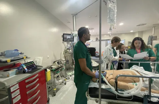 Momento de la simulación
