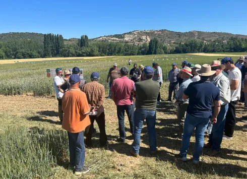 Campos de ensayo agrícola en Espinosa de Henares