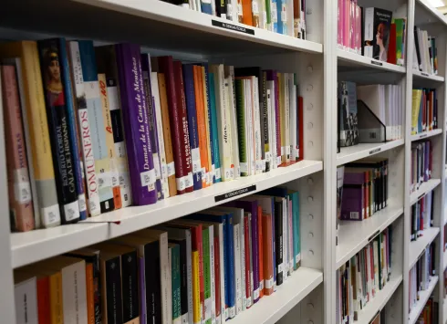 El Instituto de la Mujer de Castilla-La Mancha lanza una nueva beca de formación para la Biblioteca y Centro de Documentación Luisa Sigea. La beca está dirigida a personas con titulación Biblioteconomía, Información y Documentación a partir de 2021, para contribuir en su formación y que puedan aplicar la perspectiva de género a la biblioteconomía y documentación.