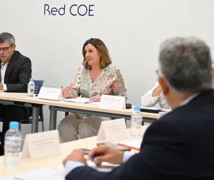 El Observatorio de Promoción Industrial de Castilla-La Mancha ha celebrado hoy una nueva sesión en la que el interés central del orden del día ha sido la exposición de las claves y principales líneas estratégicas del Anteproyecto de Ley de Promoción y Fomento de la Actividad Industrial en la región, un texto legislativo que se encuentra en periodo de participación pública.