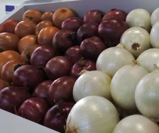 Castilla-La Mancha destina 720.000 euros para impulsar canales cortos de comercialización y mercados locales de productos agrícolas