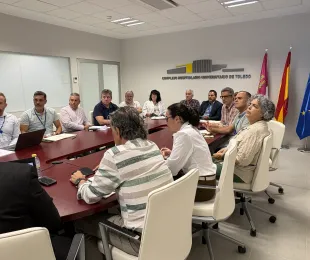 Grupos de trabajo del Plan Funcional para la integración de los hospitales Virgen del Valle y Provincial y la UCMA de Toledo en el Hospital Universitario