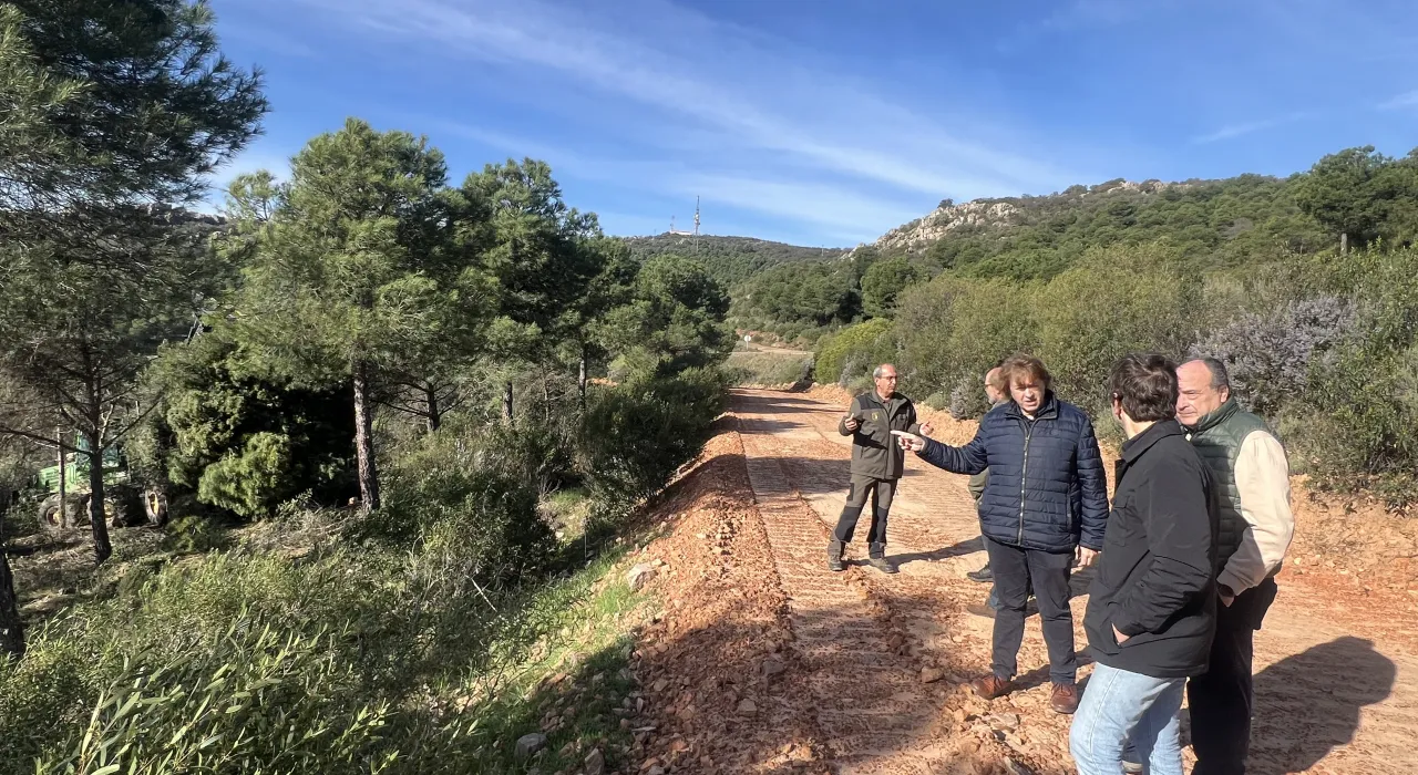 El delegado provincial de Desarrollo Sostenible durante su visita al monte público 'Quinto de Enmedio'