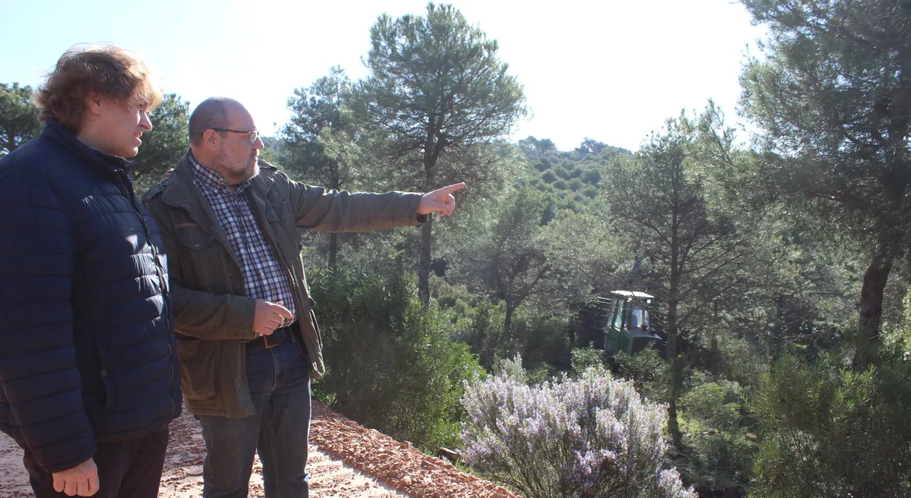 El delegado provincial de Desarrollo Sostenible durante su visita al monte público 'Quinto de Enmedio'