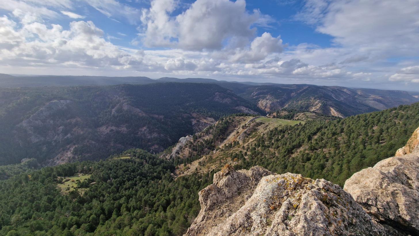 Image 1 of article El Gobierno regional organiza numerosas actividades en la V Semana de los Espacios Naturales Protegidos por el Día Europeo de los Parques Naturales
