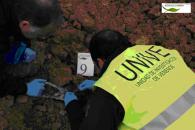 Unidad de investigación de venenos de CLM