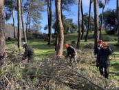 El Gobierno regional comienza los trabajos selvícolas en los montes públicos de ‘Los Gavilanes’ para adecuar la zona y garantizar su seguridad tras la borrasca Filomena 