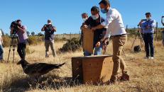 El Gobierno de Castilla-La Mancha incrementará este año un 43 por ciento las ayudas para fomentar la educación ambiental