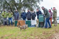 Suelta de águilas y linces en la finca ‘El Borril’