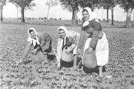 El Gobierno regional celebra el 8M con la exposición virtual de fotos antiguas ‘Con rostro de mujer’ y con actividades en bibliotecas y museos