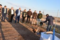 Castilla-La Mancha supera las once mil toneladas de producción de pistacho y se consolida como la primera región productora del país