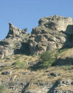 ZEC Valle del río Cañamares