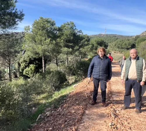 El delegado provincial de Desarrollo Sostenible durante su visita al monte público 'Quinto de Enmedio'