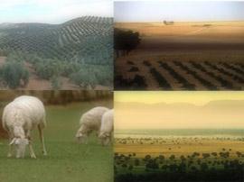 cifras sector agrario