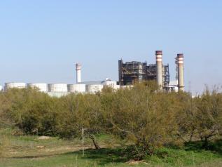 Comercio de Derechos de Emisión de Gases de Efecto Invernadero