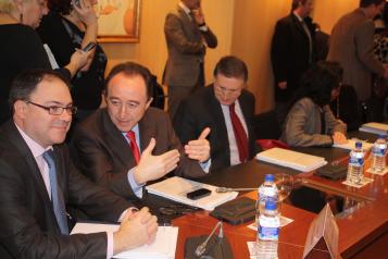 Lamata en el pleno del Consejo Territorial del Sistema para la Autonomía y Atención a la Dependencia