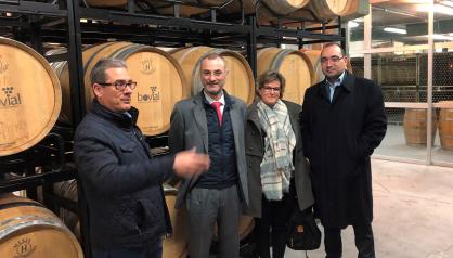 visita Bovial